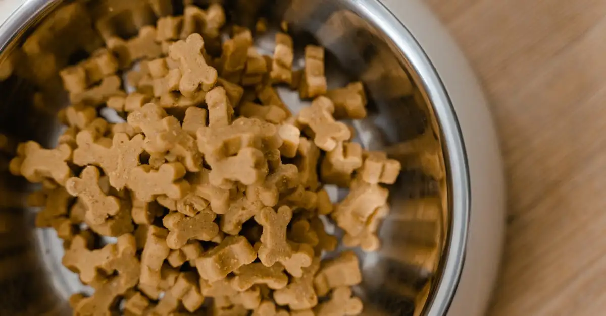 Nierdieet voor honden: advies en voedingstips