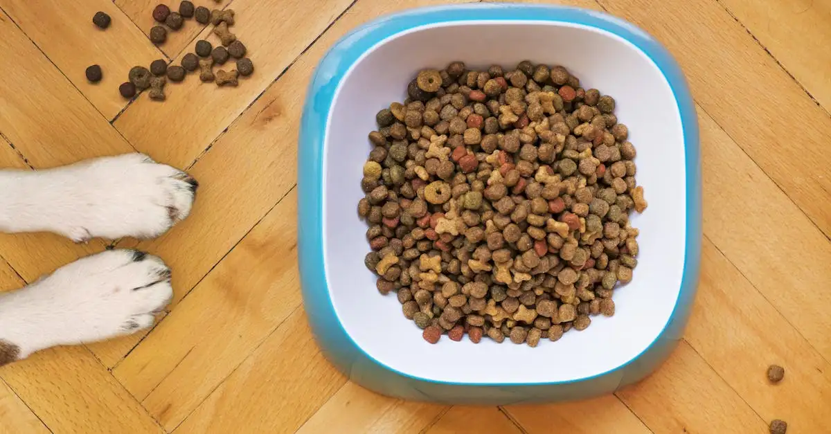 Royal Canin Hypoallergenic Hond Blikvoer Kopen